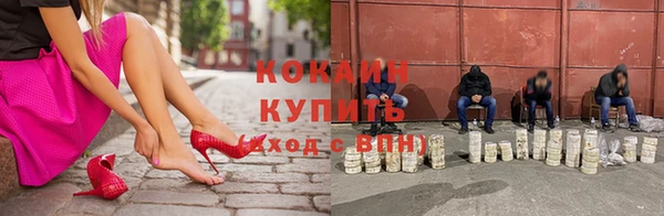 шишки Чекалин