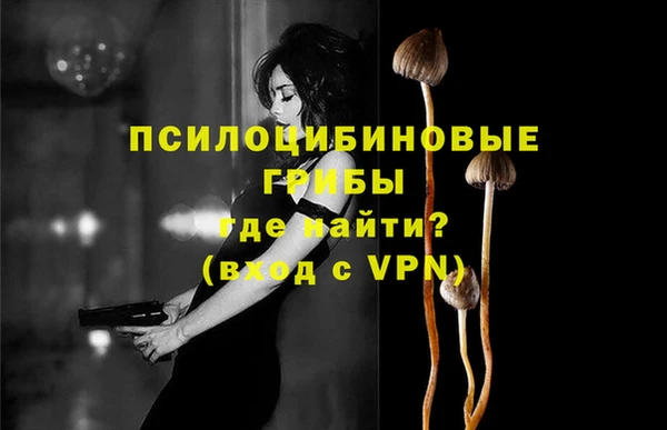 молекула духа Аркадак