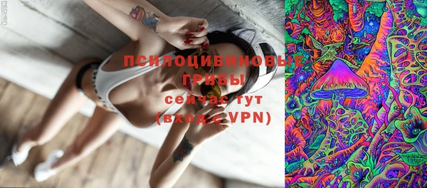 молекула духа Аркадак