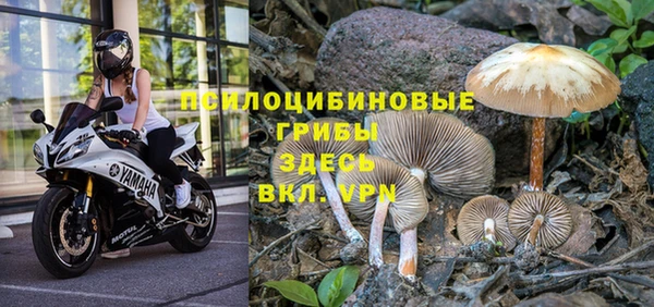 молекула духа Аркадак