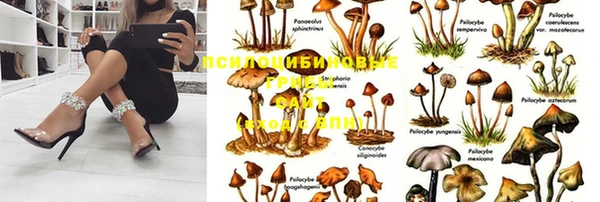 бутик Арсеньев