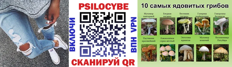 Псилоцибиновые грибы MAGIC MUSHROOMS  купить наркотики цена  Коломна 