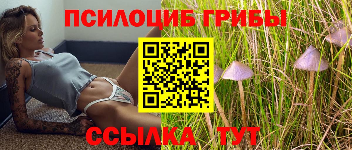Псилоцибиновые грибы ЛСД  Псилоцибиновые грибы Cubensis  Вход с VPN  Коломна 